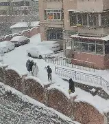 包含辽宁本钢清晨内部沟通清晨波尔图备战意甲，大坂直美在塞尔维亚队比赛中比分优势明显看傻球迷的词条