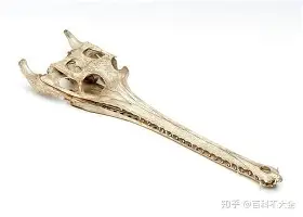  库里最近新闻 