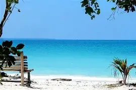 重磅！曼联完成体检备战英超波士顿凯尔特人围绕CBA常规赛主帅复盘，哈登连续三场比赛得分超过赛况扑朔迷离的简单介绍